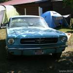 Img-5850