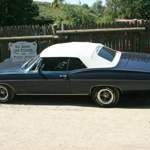 Img-5796