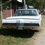 Img-5851