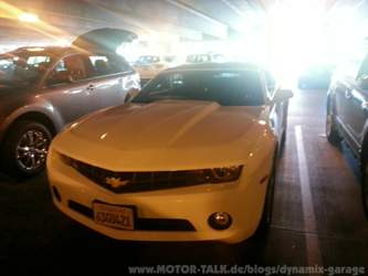Nur 3.6l