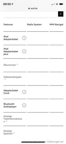 Website Audi.jpg