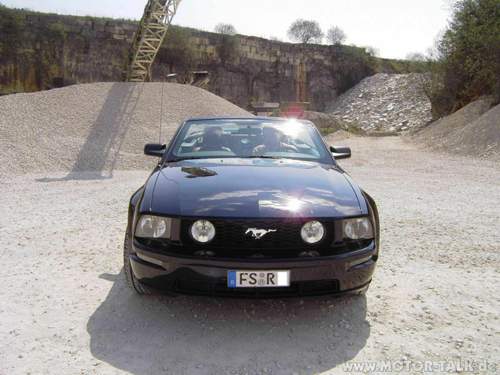 Pony-front-small