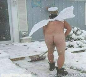 Rainer