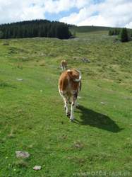 Sdc10719-groessenveraenderung