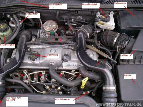 Ford-motorraum
