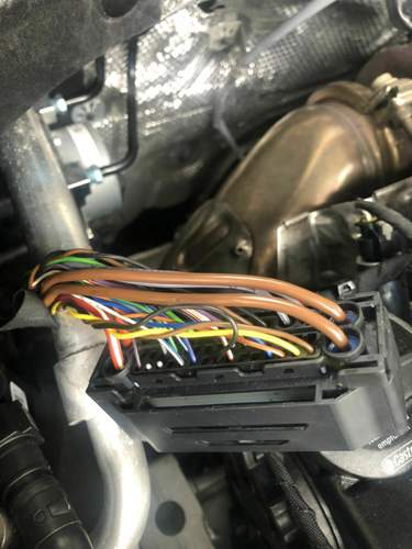 ABS Stecker