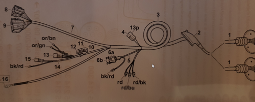 Bild1