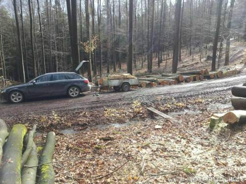 Holz-holen-02-2013