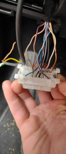 IMG_20210526_183814.jpg