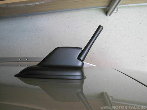 Img-1677