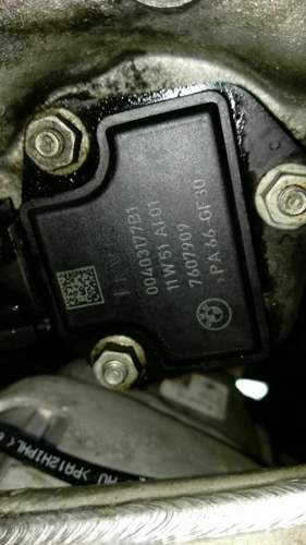 IMAG0824.jpg