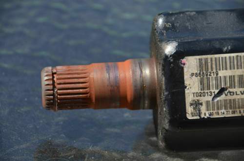 Dsc-4919