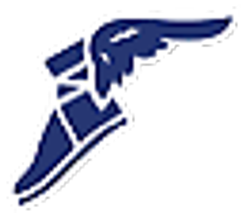 Goodyear-corporate-icon-small