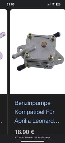 Asset.PNG.jpg