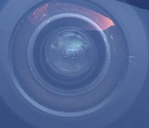 Zoom