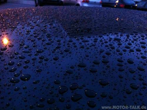 Img-3263