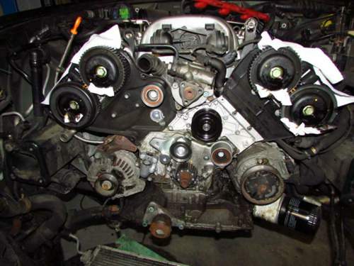 Img-4591