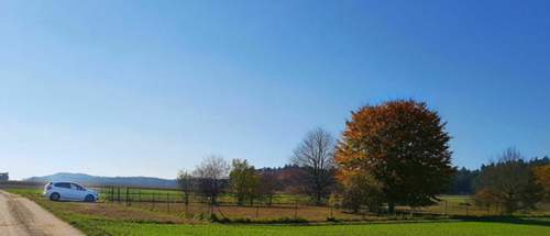 20171015_140444-01.jpeg