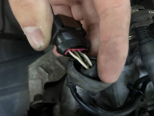 Stecker gefunden mit grün/weiß