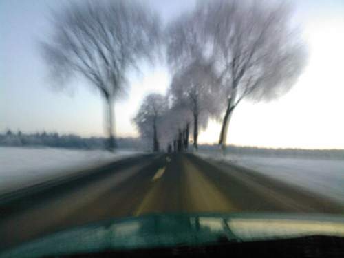Wintertauglichkeit