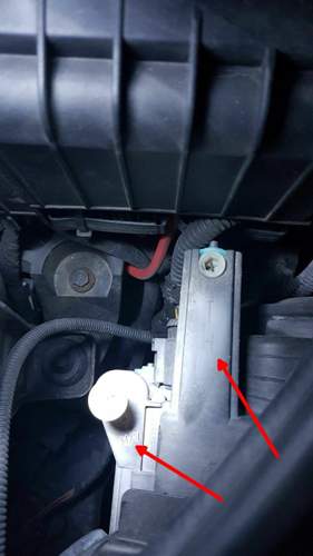 Audi-bixenon-li
