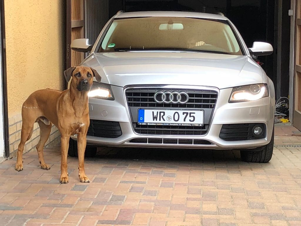 Audi A4 B8/8K 2.0 TDI Test