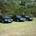 3 schwarze