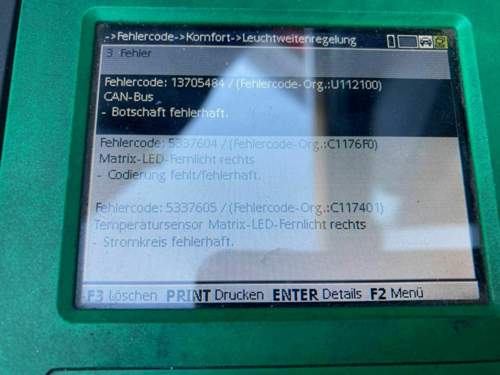 Mit Lesegerät einer freien Werkstatt.