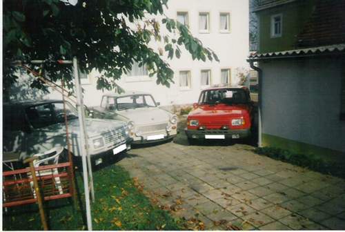 Warti-pic