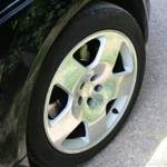 Img-7134