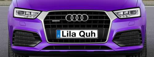 Q3-lila-kuh-3