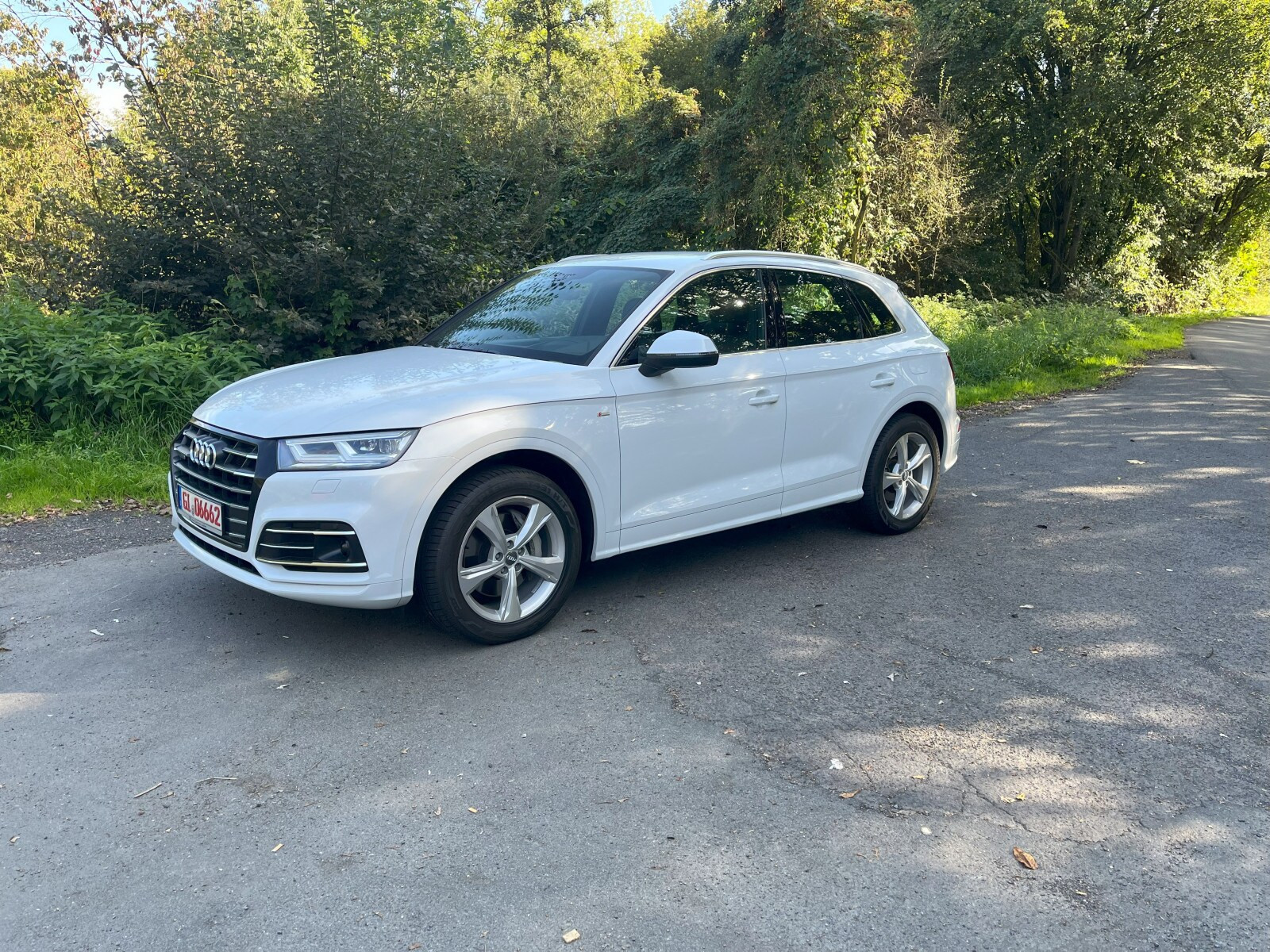 Audi Q5 FY 55 TFSI e Test