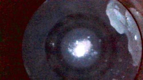 Bild #210703925
