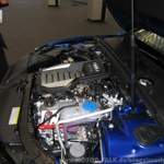 Img-1113