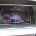 Img-1186