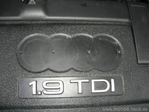 Img-0091