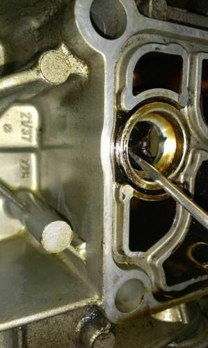 IMAG0134.jpg