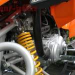 Die Barossa Bronco 300