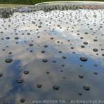 Beading Detail