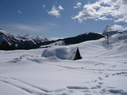 Schnee