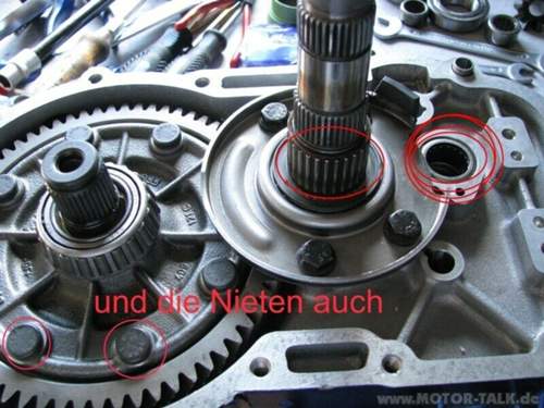 Img-1792