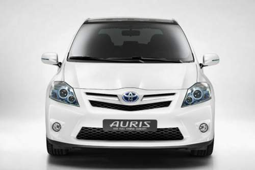 Auris-hybrid