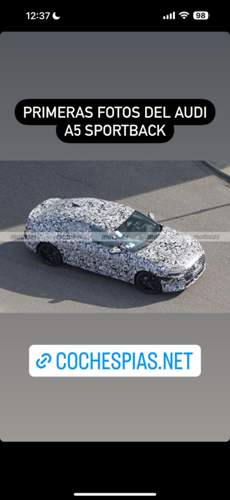 Asset.PNG.jpg