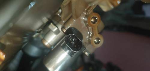 20201210_163556.jpg
