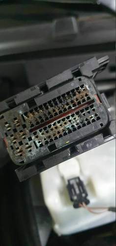 20201214_110505.jpg