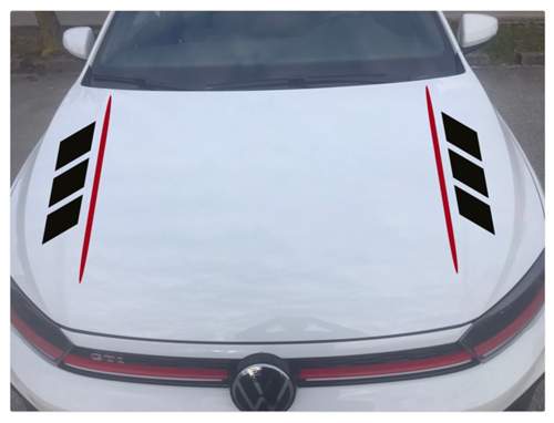 Motorhaube.jpg