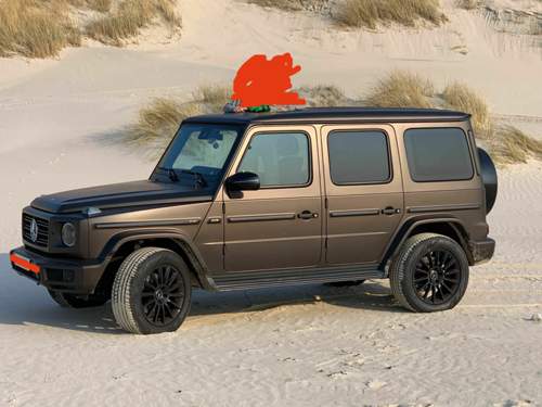 Asset.HEIC.jpg