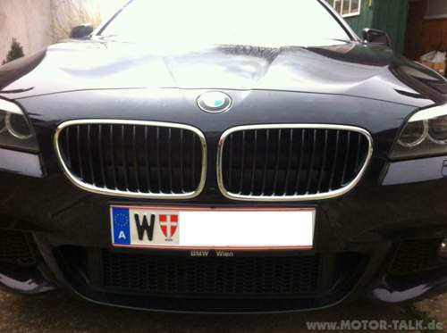 Niere-m5