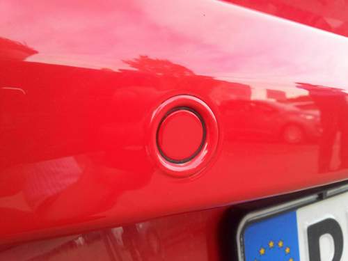 Anlackierter Aufnahmering des PTS-Sensor