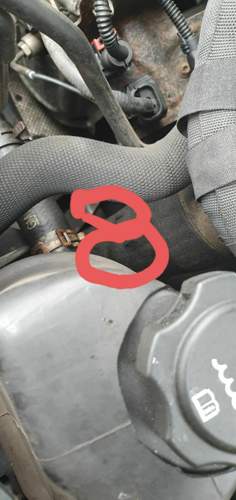 Motorraum Schlauch
